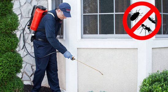 Gülyalı Böcek ve Haşere İlaçlama böcek ilaçlama ve haşere kontrolü — ilaclama-tr.com